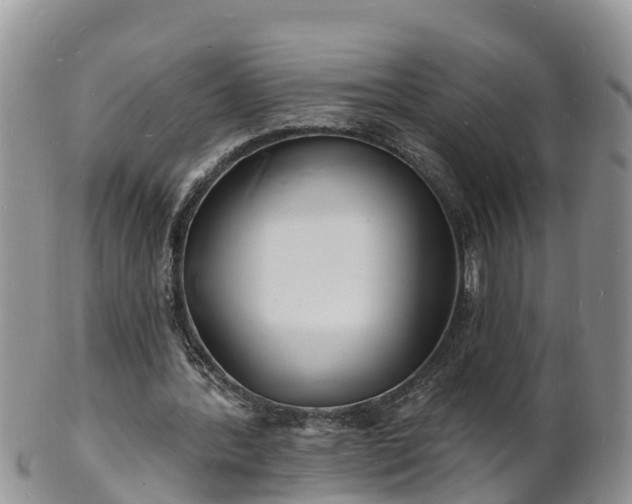 X0000102230388200808011230