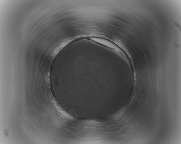 X0000102230389200808011230