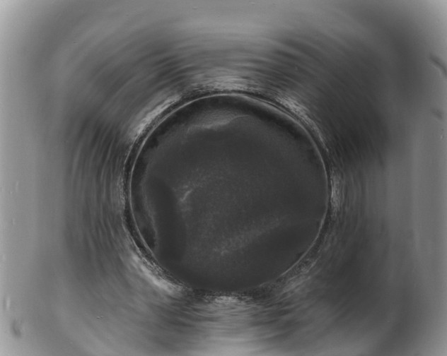 X0000102230390200808011230