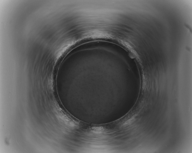 X0000102230391200808011230