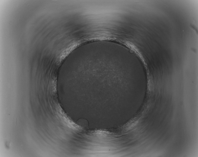 X0000102230393200808011230