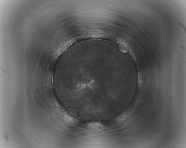 X0000102230397200808011230