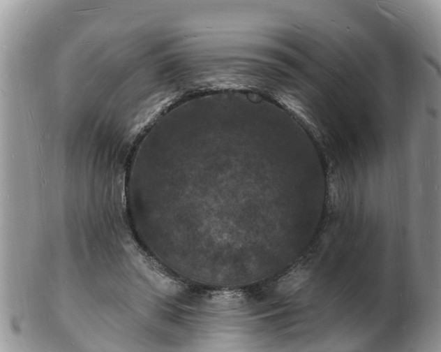X0000102230398200808011230