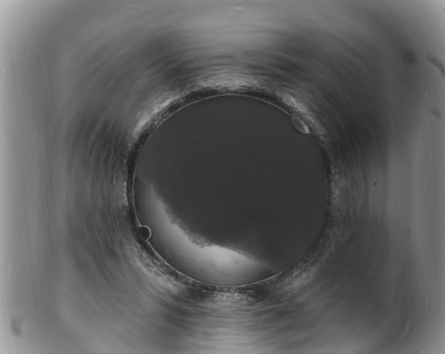 X0000102230399200808011230