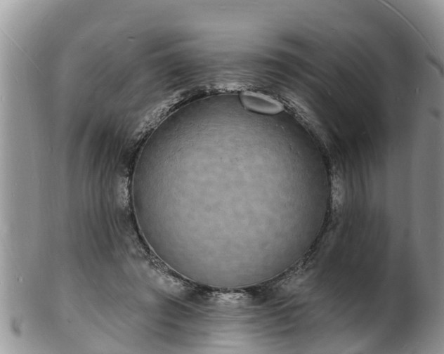 X0000102230401200808011230