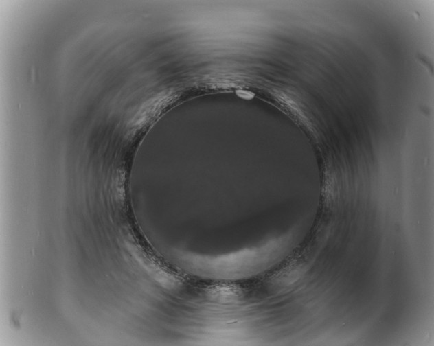 X0000102230402200808011230