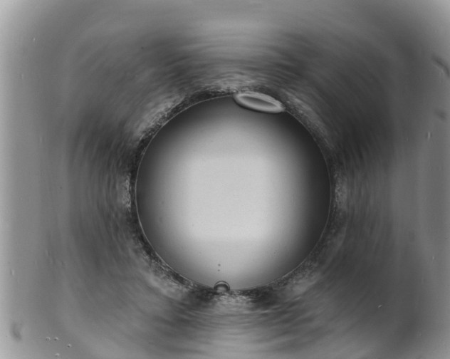 X0000102230403200808011230