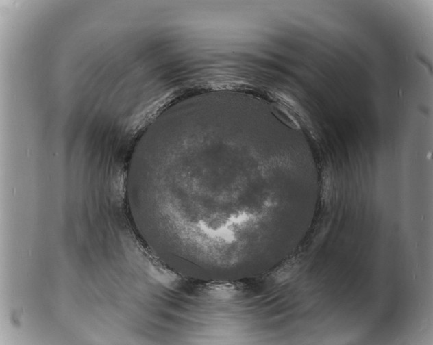 X0000102230405200808011230