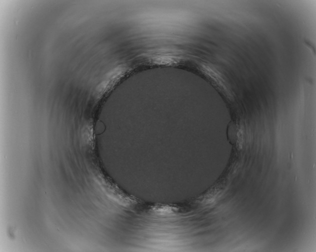 X0000102230407200808011230