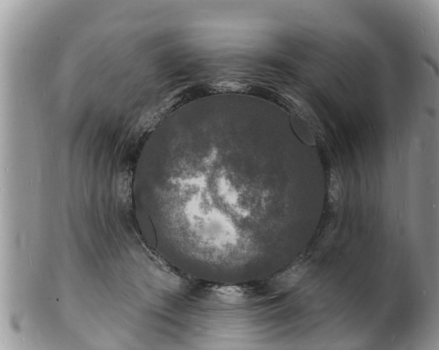 X0000102230409200808011230