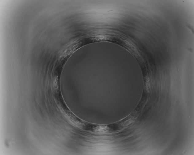 X0000102230410200808011230