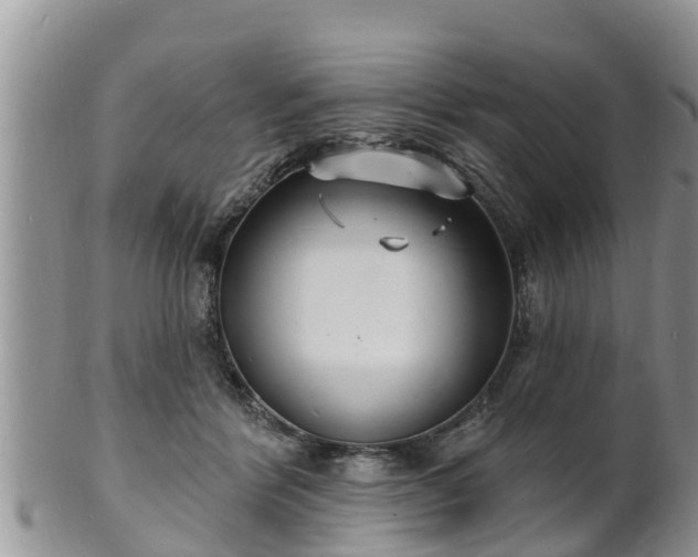X0000102230412200808011230
