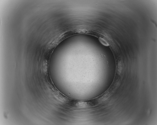 X0000102230413200808011230