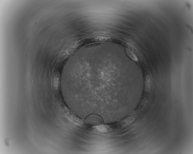 X0000102230417200808011230