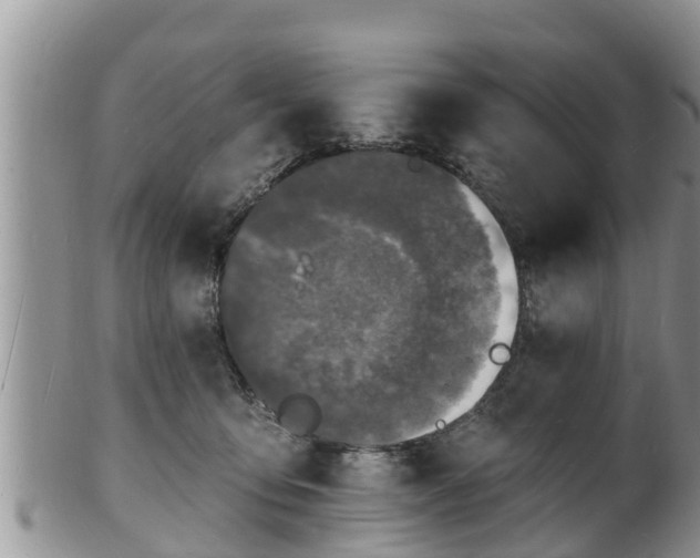 X0000102230419200808011230