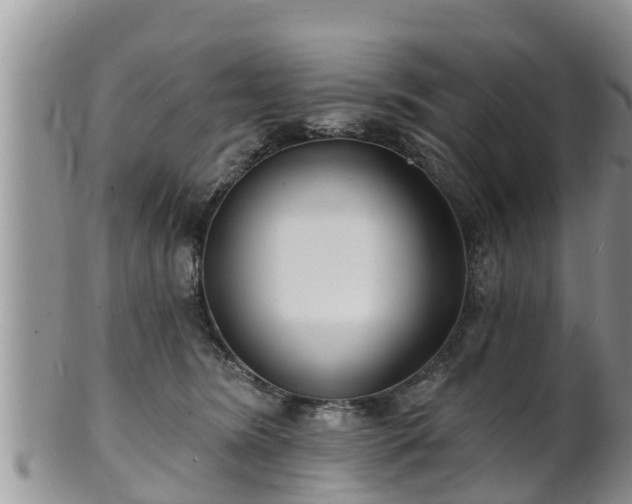 X0000102230420200808011230