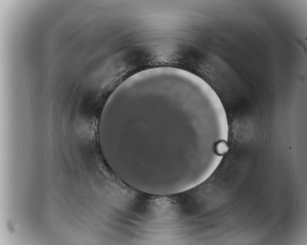X0000102230423200808011229