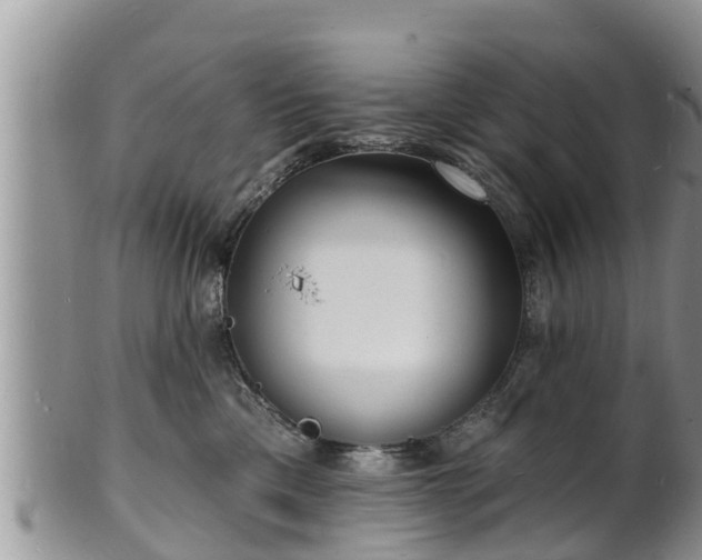 X0000102230425200808011229