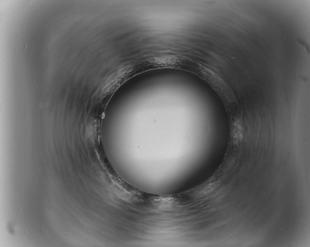 X0000102230428200808011229