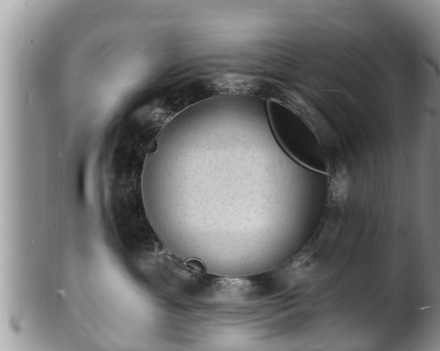 X0000102230429200808011229
