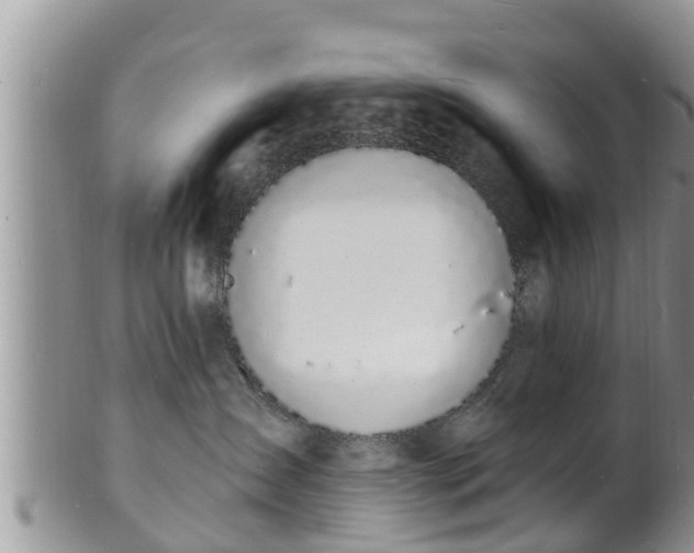 X0000102230431200808011229