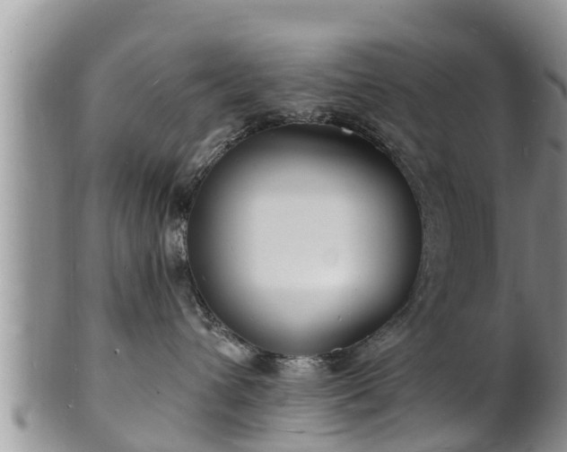 X0000102230432200808011229