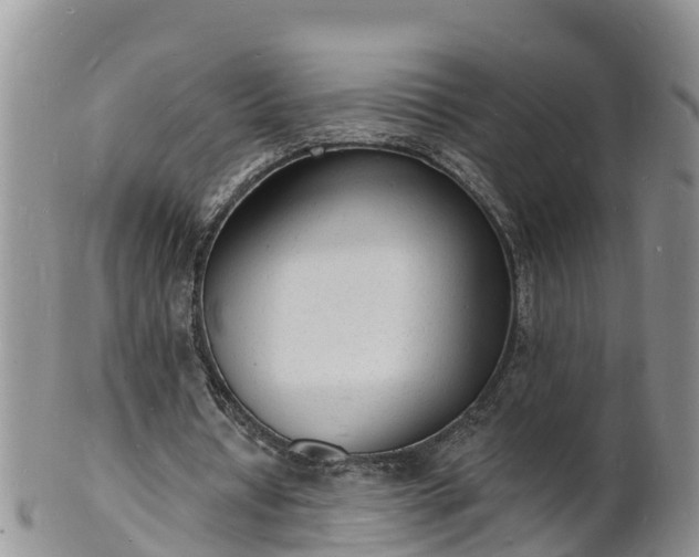 X0000102230434200808011229