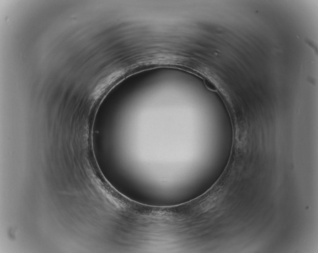 X0000102230437200808011229