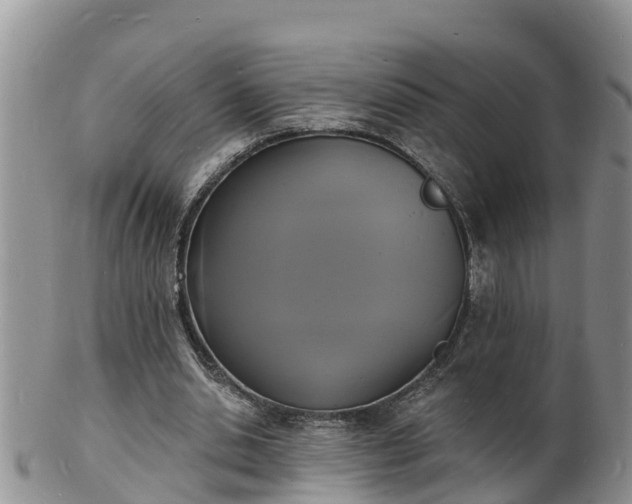 X0000102230438200808011229
