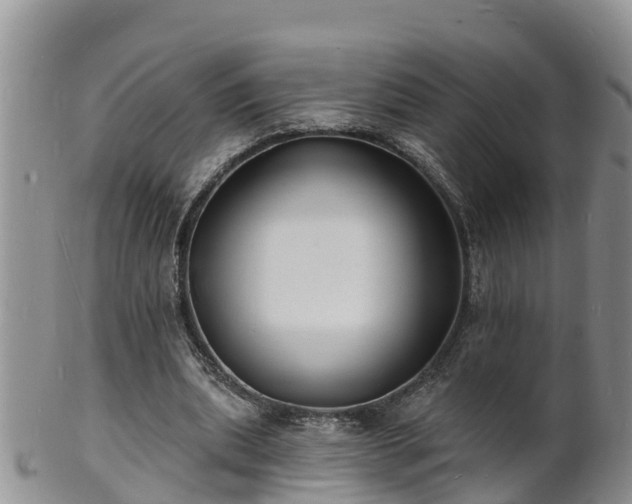 X0000102230439200808011229