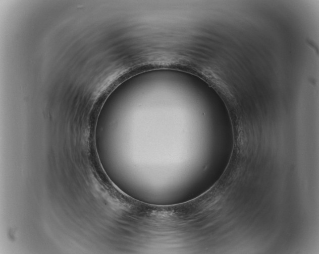 X0000102230440200808011229
