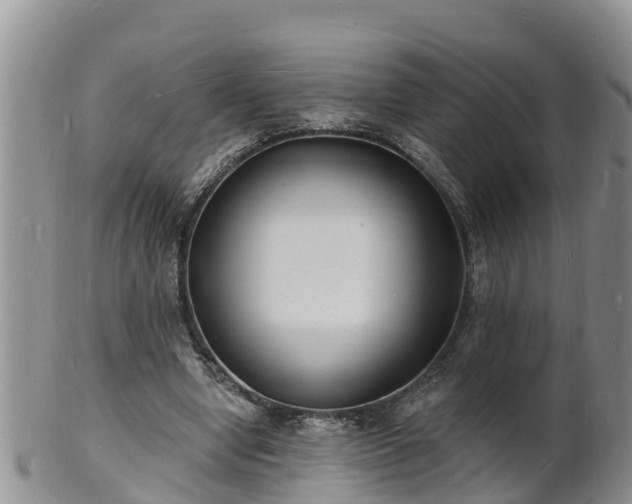 X0000102230442200808011229