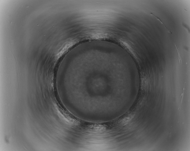 X0000102230443200808011229
