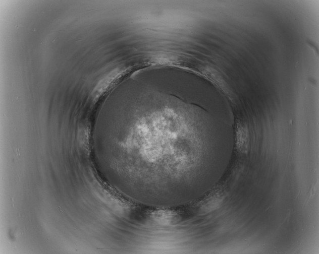 X0000102230444200808011229