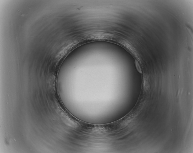 X0000102230445200808011229