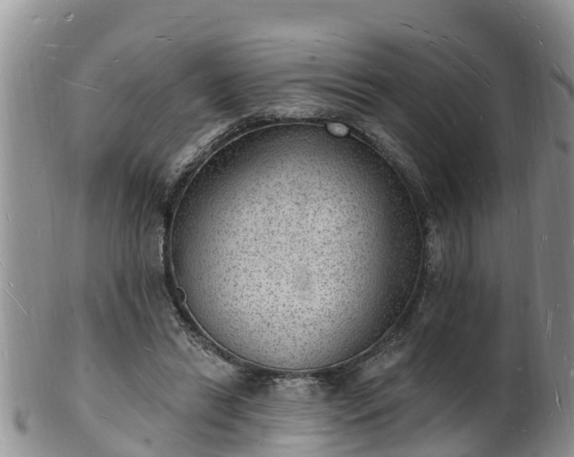 X0000102230446200808011229