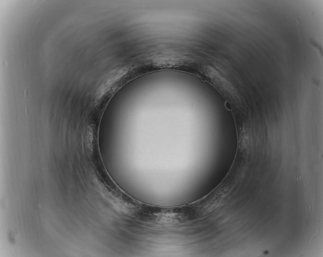 X0000102230448200808011229