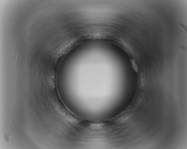 X0000102230450200808011229