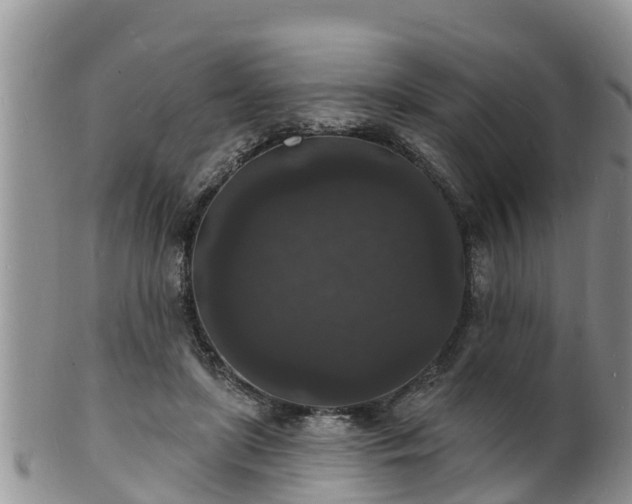 X0000102230451200808011229