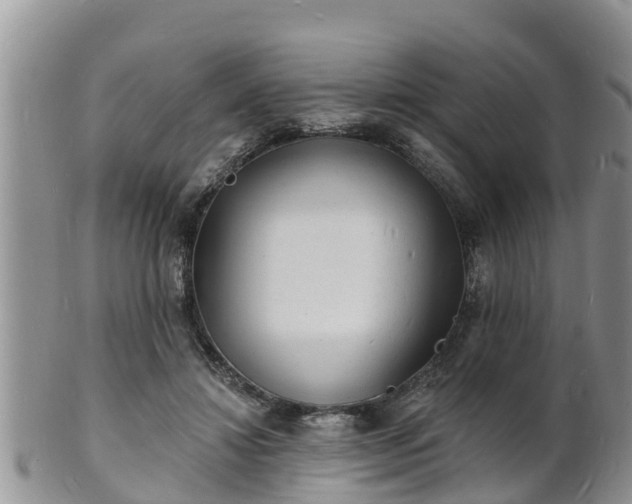 X0000102230452200808011229