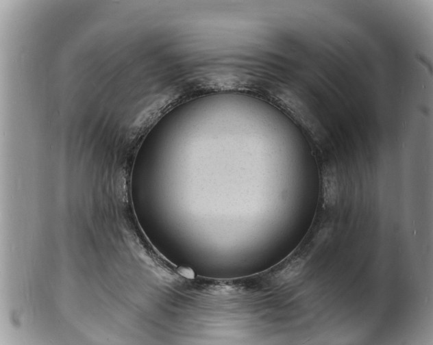 X0000102230453200808011229