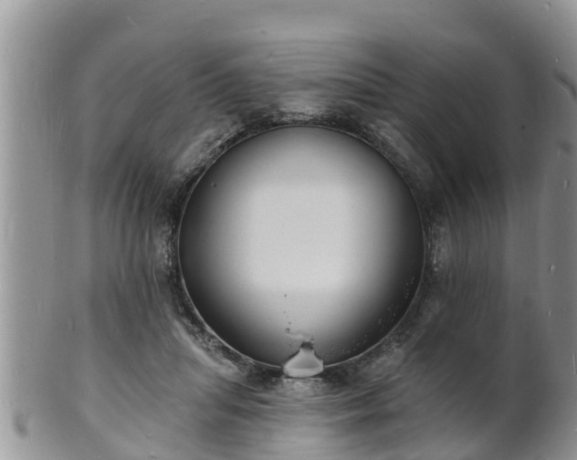 X0000102230455200808011229