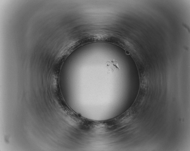 X0000102230456200808011229
