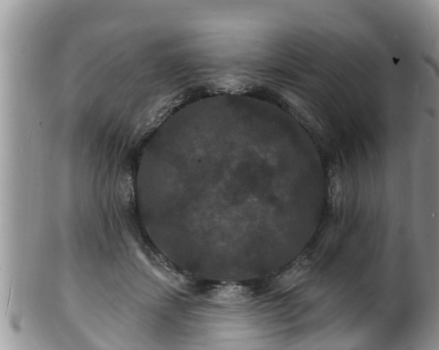 X0000102230459200808011229