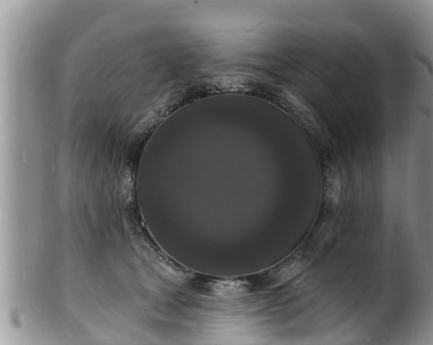 X0000102230465200808011229
