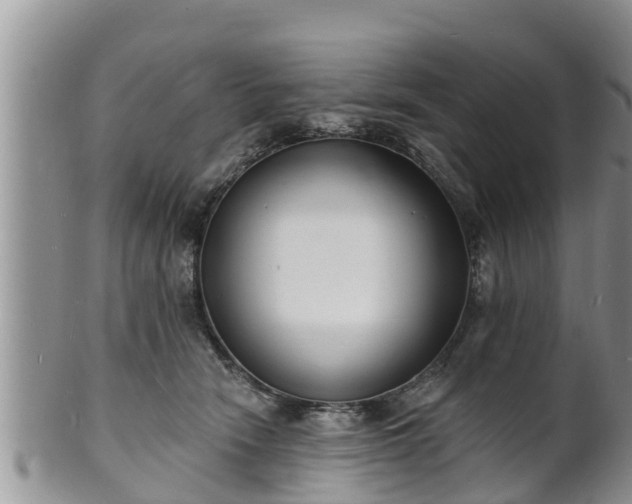 X0000102230466200808011229