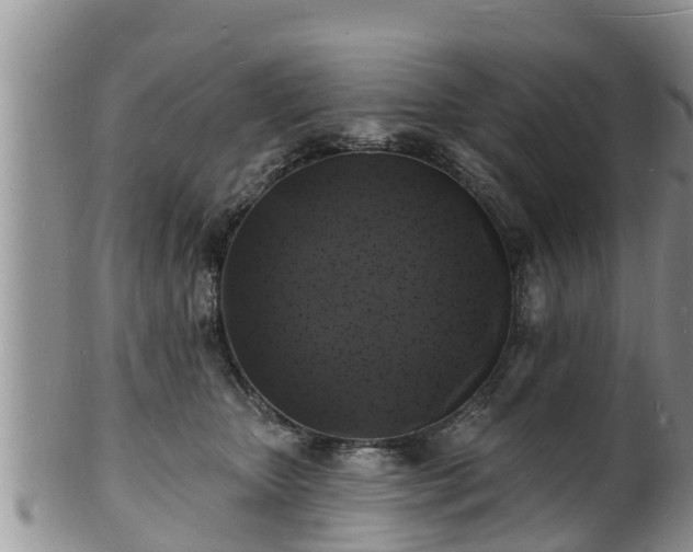 X0000102230467200808011229