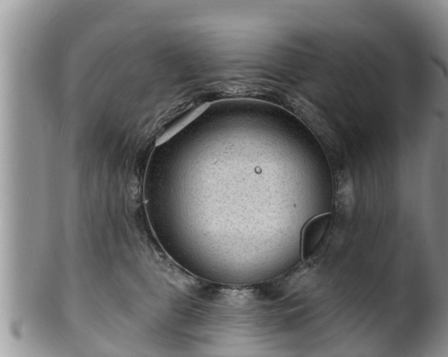 X0000102230469200808011229