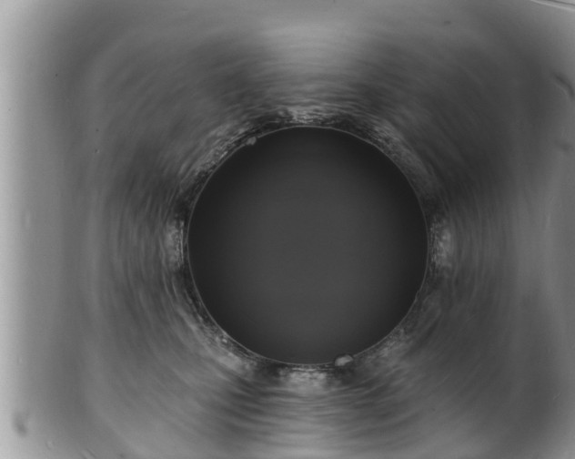 X0000102230471200808011229