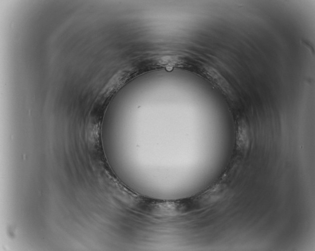 X0000102230473200808011229